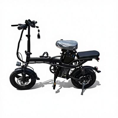 Hot Sale Electric Folding Bike Driving Electric Bike Adult Electric Bicycle