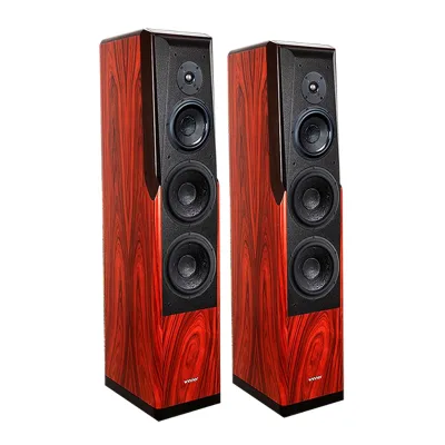ToneWinner Hot Sale High End HIFI Bookshelf Bass Woofer 2.0 All in One Home Theatre Sound Equipment/amplifiers/speaker