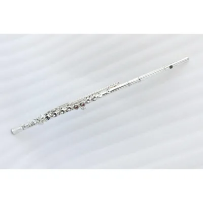 High-end C Flat Silver Plated 16 Holes Closed Cupronickel Body Flauta Music Instrument Flute With Case Bag and Accessories Sale