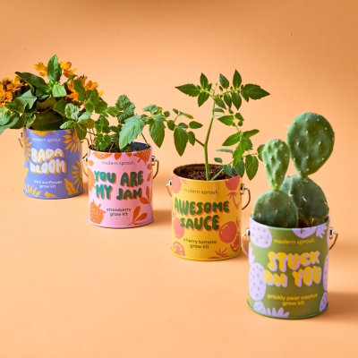 Complimentary Colors Home & Garden Grow Kits
