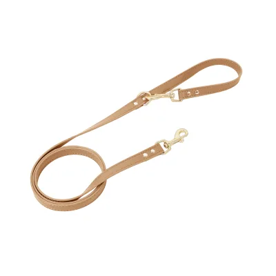 Premium Leather Pet Leash with Metal Hardware, Multiple Colors