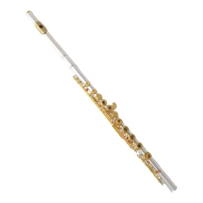 Wholesale/OEM/Factory Price Silver Body 16-Hole C-Key Flute Open-Closed Dual-Use Professional Performance Band Instrument Cupronickel