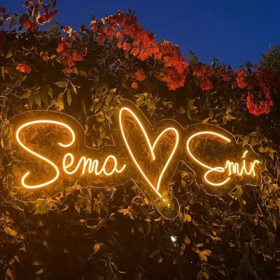 Dropshipping Neon Sign Led Neon Lighting Logo and Display for Wedding Party Bedroom Neon Wall Sign