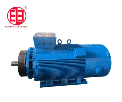 Variable Frequency Three-Phase Asynchronous Motor