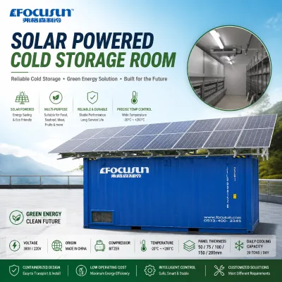 Industrial Solar Cold Room Off-Grid Walk-In Solar Powered Cold Storage for Remote Farm Fishery Vaccine