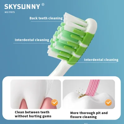 Curved Ergonomic Grip Adult Toothbrush Staggered Arranged Filaments Medium Bristle Household Daily Oral Care Toothbrush