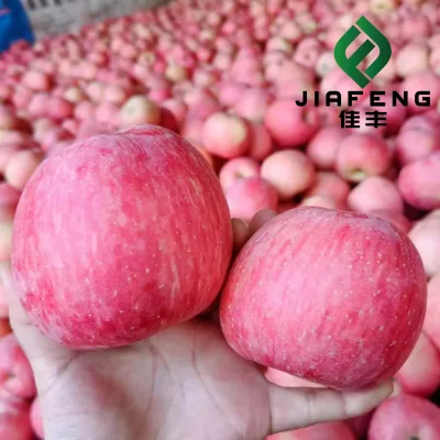 New Crop Fresh China Paper Bagged FUJI Apple