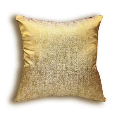 Custom Detachable Decorative square Pillow 60 * 60cm Sofa Decoration