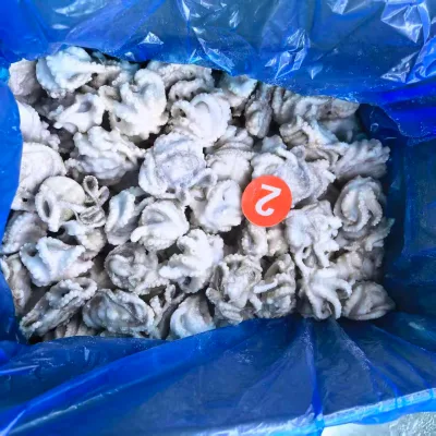 Good Price High Quality Frozen Baby Octopus