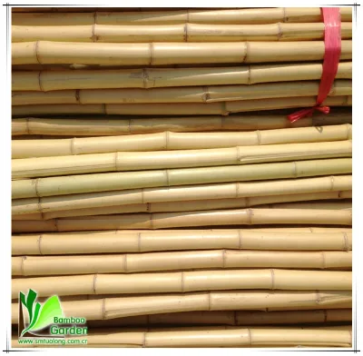 Natural for Garden Import Natural Bamboo Rods for Garden