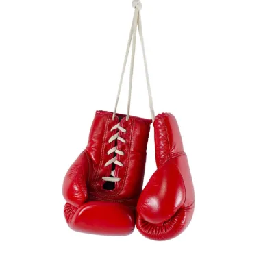 Vintage Professional Boxing Gloves 14oz 16oz PU Leather Comfortable Customizable Size Sports Fighting MMA Gloves Sale