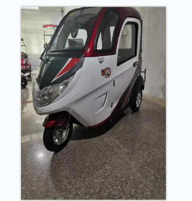 New Style 2021 Three Wheel 800W Motor Electric Car with CE Certification