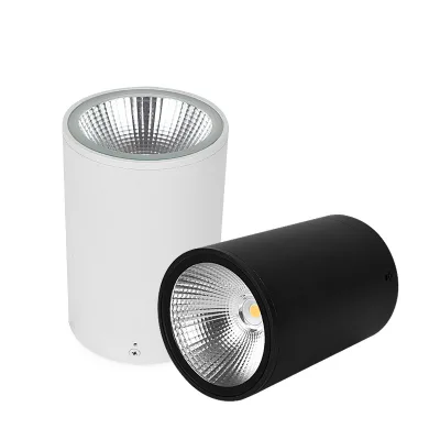 Boyid High Quality Outdoor Modern Ceiling-Mounted LED Downlight IP65 High Protection for Hotel Balcony Shop Use