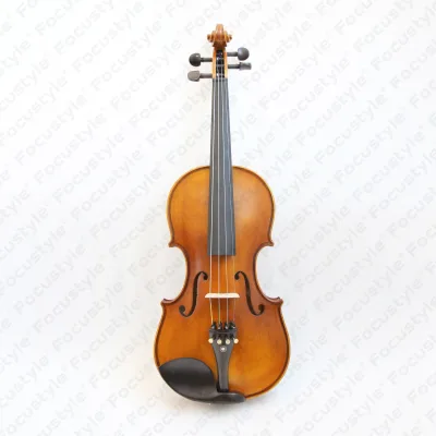 OEM Wholesale Professional 4/4 Handmade Inflatable Violin Hard Case Flame Maple Wood Spruce Face Instrument Pad Accessories Sale