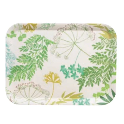 Popular Eco Biodegradable Tableware Tray