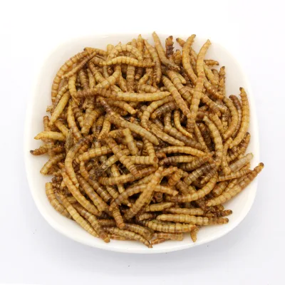High Quality Wholesale Mealworms Birds Food Chicken Worms Feeds for Farm