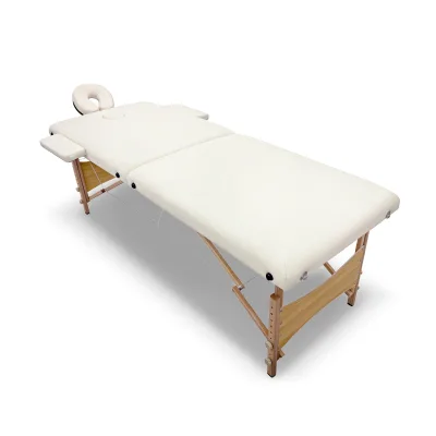 Hospital Massage Therapy Bed Portable Multi-Function Physical Therapy Bed Moxibustion Tattoo Beauty Functions Storage Bag
