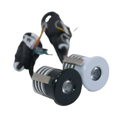 Popular 3W Open Hole Size 24MM 316L Stainless Steel Waterproof Corrosion Resistance Mini Spot Down Light for Yacht Boats