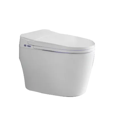 Cupc Bathroom Sanitary Ware Siphon Flushing Wc Ceramic One-Piece Smart Toilet Bathroom Toilet Bowl Set