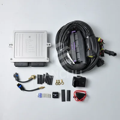 AUTO Fuel System Lpg/ Cng Ecu 6 Cylinder Complete Conversion Kit for Cng lpg Ecu Complete Conversion Kit