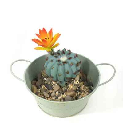 Factory Produce Different Size Large Cactus  Garden Landscape Cactus Artificial Cactus Plant for Decorations Indoor and Outdoor