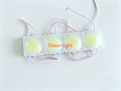 High Brightness COB Module DC12V  IP66 Waterproof Used   Decoration Truck Light  Display Module