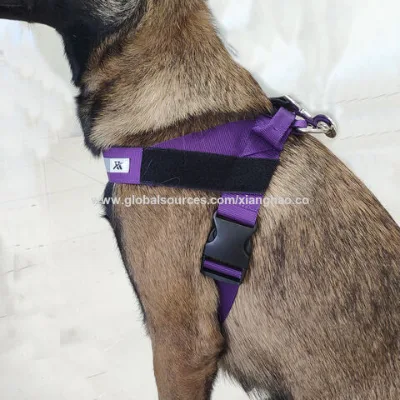 OEM/ODM Webbing dog harness,simple design with high quality