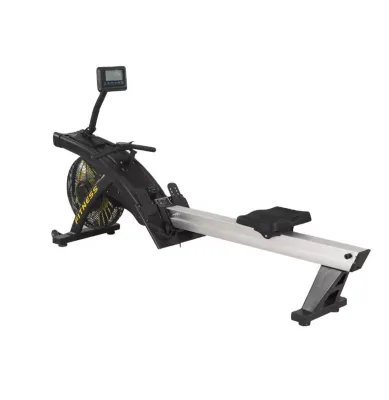 1702 Air Rower