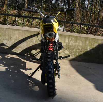 Adult Gasoline Motorcycles Powerful Motor Modern Motorcycles