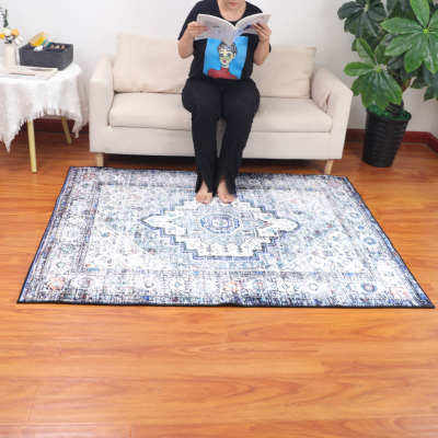 Hot Selling Door Mats for Home Entrance Waterproof Floor Mat Multicolor Rug Gray Carpet