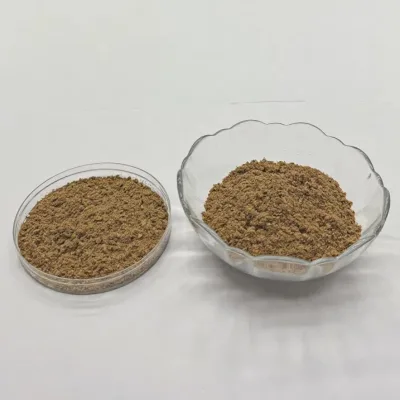 China Made Feed Grade Chicken Powder 62% Protein Low Moisture 6.4% in Bag for Poultry & Aquatic Feed Growth Nutrition Absorption