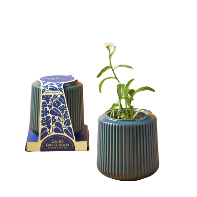 2023 Indoor Herb Grow System Kit Garden Plant Pot for Home & Nursery Design for Desktop or Floor OEM Welcomed for Hotels
