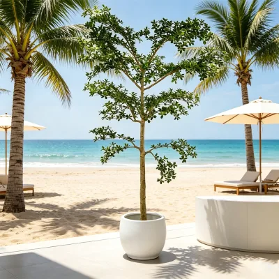 Sophisticated Artificial Olive Tree with Naturalistic Canopy and Slim Trunk for Contemporary Living Room Entryway