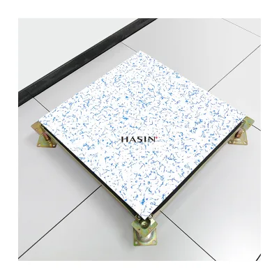 New Arrival 600x600 Modern Antistatic Raised Floor Tile Data Center Floor Straight Laying 3D Inkjet Ceramic Tile