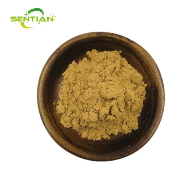 Evening Primrose Extract Powder 10:1 Herbal Extract Evening Primrose Extract