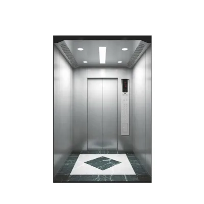 450 kg AC Drive Passenger Lift Hairline Stainless Steel Cabin Passenger Elevator Lift Home Villa Elevator MRL