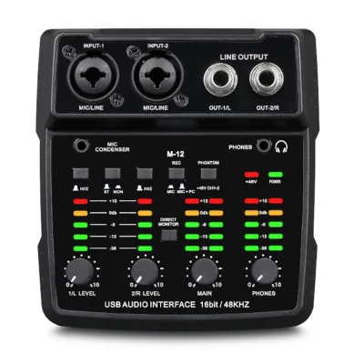 2025 Private Model M-12 Professional Real Sound Card Split-track Version Mini Audio Interface for Podcast/Music Instrument