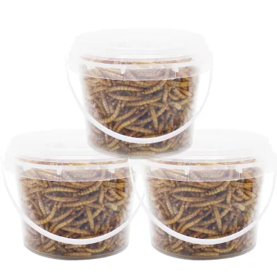 High-Protein Mealworms for Wild Bird ,Chicken, Ducks,Fish,Reptile, Tortoise , Amphibian,Lizard