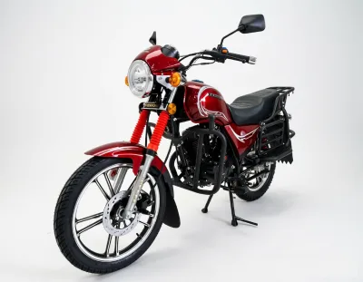 Commercial Motorcycle-FEKON GN JUNLANG 150CC,200CC