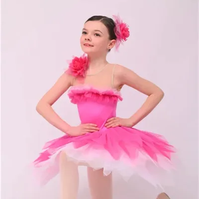 High Quality Professional Basic Ballet Tutu Women Classical Stage Costume Ballet Tutus for Children