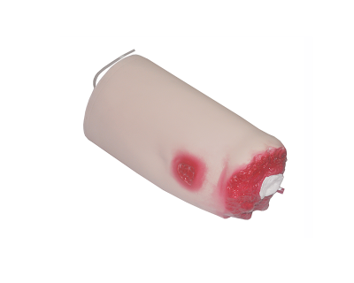 Medical Science PVC Leg Amputation and Stop Bleeding Model Nursing and Injection Anatomical Model for School Use