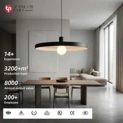 Modern Industrial Hanging Home Decorative Lamp Bar Cafe Kitchen Island Bedroom Restaurant Aluminium Single Pendant Lights