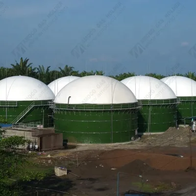 Biogaz Digester Roof Mounted on Biogas Plant Digester for Palm Oil Factory Waste