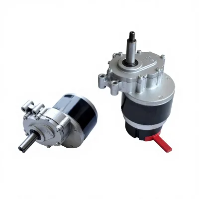 Motor 2-Stage Reduction Brushed Low Speed Permanent Magnet DC Gear Motor 250W 24V High Torque MY1016Z 75-160 RPM Car