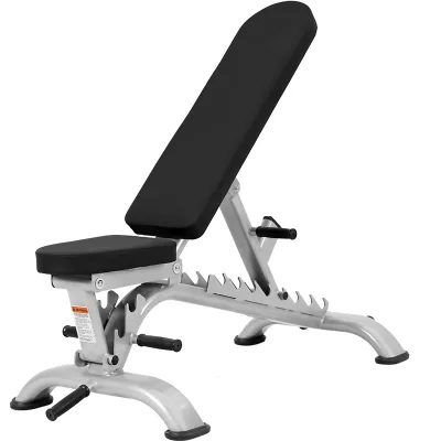 Professional Fitness Adjustable Dumbbell Bench Commercial Bird Dog Sit-up Fitness Chair Multi-function Abdominal Board Metal
