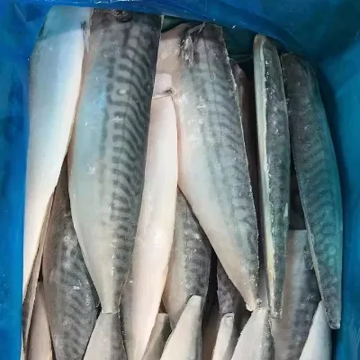 China Factory Low Price Mackerel Fillet Skin on 100-120g/pcs,120-140g/pcs to Southeast Asia