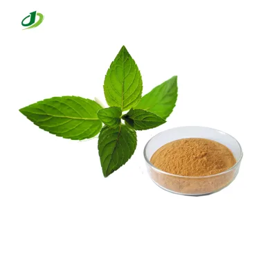 Natural Catnip Catwort Extract Catmint Nepeta Catario Powder Extract 20:1