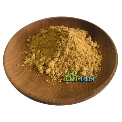 Plant Lonicera Japonica Extract Chlorogenic Acid Powder Honeysuckle Flower Extract Powder