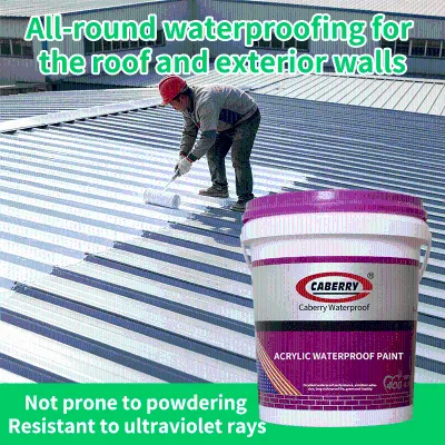 Wholesale Acrylic Waterproof Roof Paint, Flexible Anti-Rust Sealant for Color Steel, Metal Roof, Concrete Terrace Exterior Wall