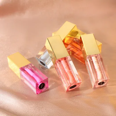 Makeup Bird of Paradise Plant Lip Care Water Glass Lip Gloss LIP OIL for Small Lot Customization